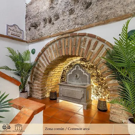 ADANAR-Apartamentos Muralla Zirí-3